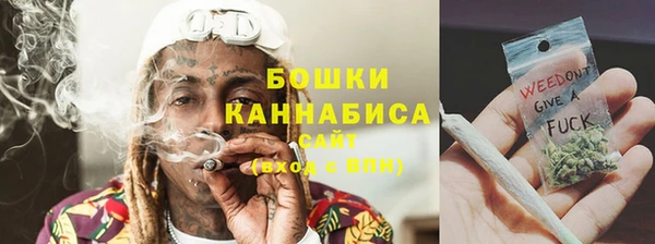 трава Бородино