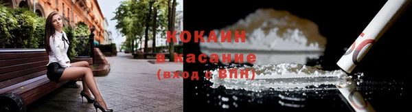 трава Бородино